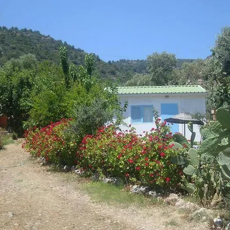 Datca Ciftlik Apart